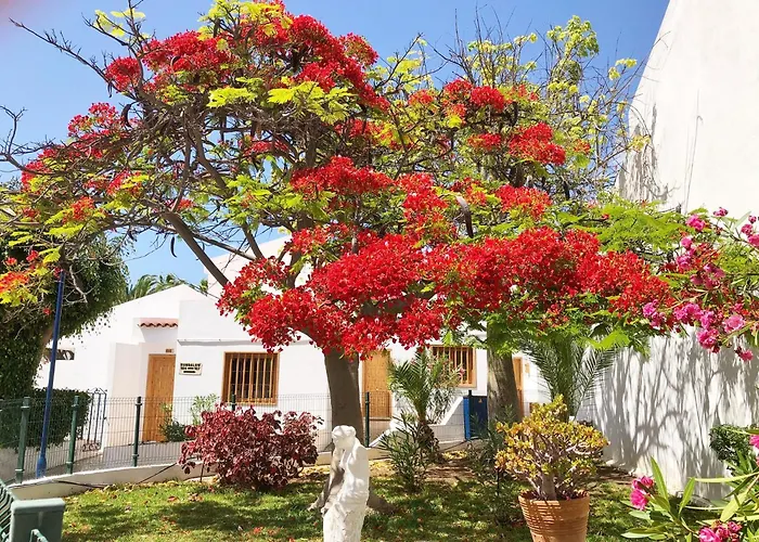 Bonito Apartmento En Garden City Con Piscina Climatizada