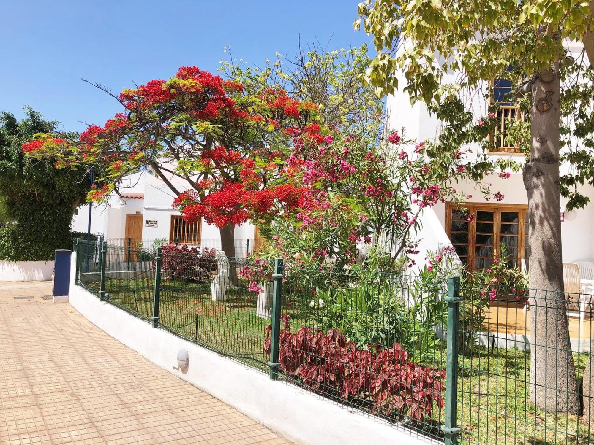 Bonito Apartmento En Garden Con Piscina Climatizada *