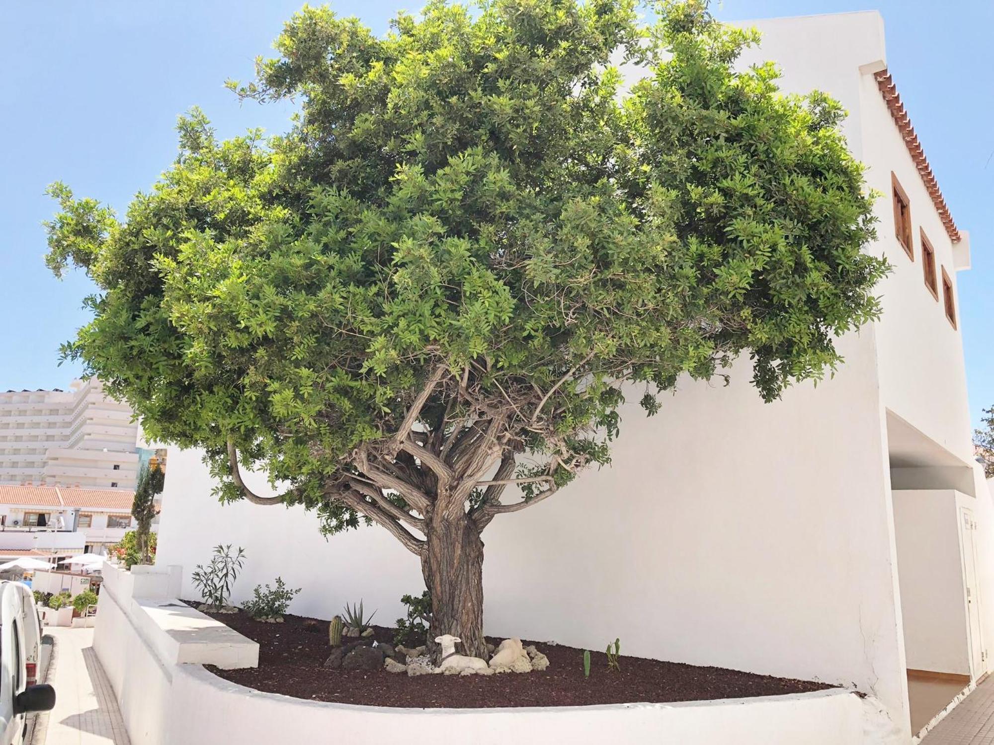 Bonito Apartmento En Garden Con Piscina Climatizada *